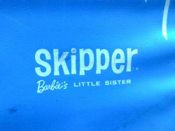 skipper case blue dove sign